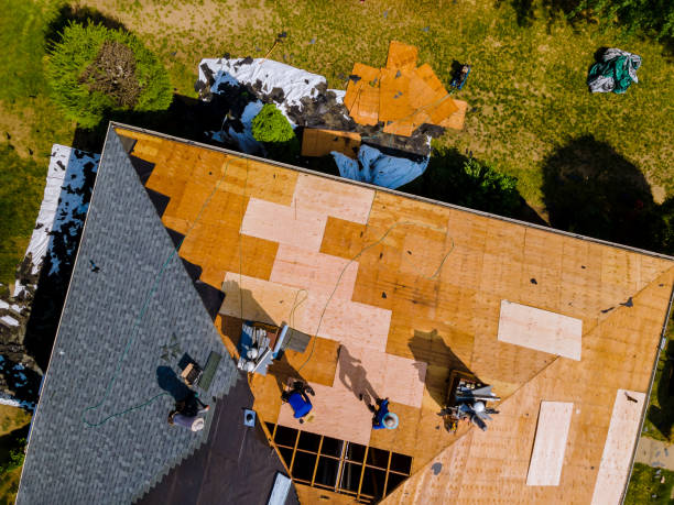 Best Residential Roofing Contractor  in Clinton, KY