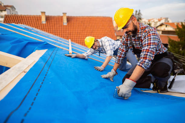 Roof Waterproofing Services in Clinton, KY